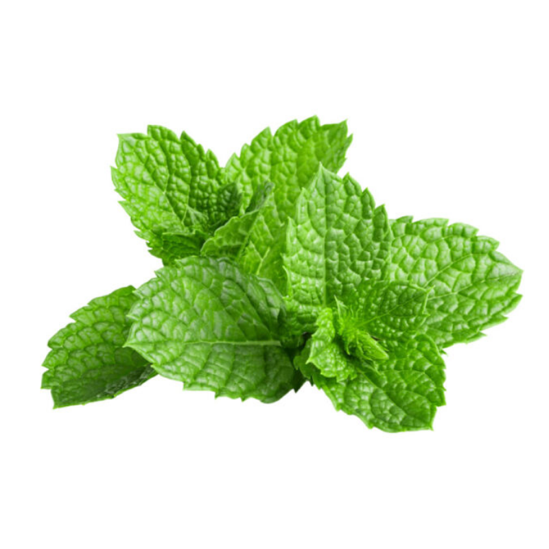 Peppermint Leaf