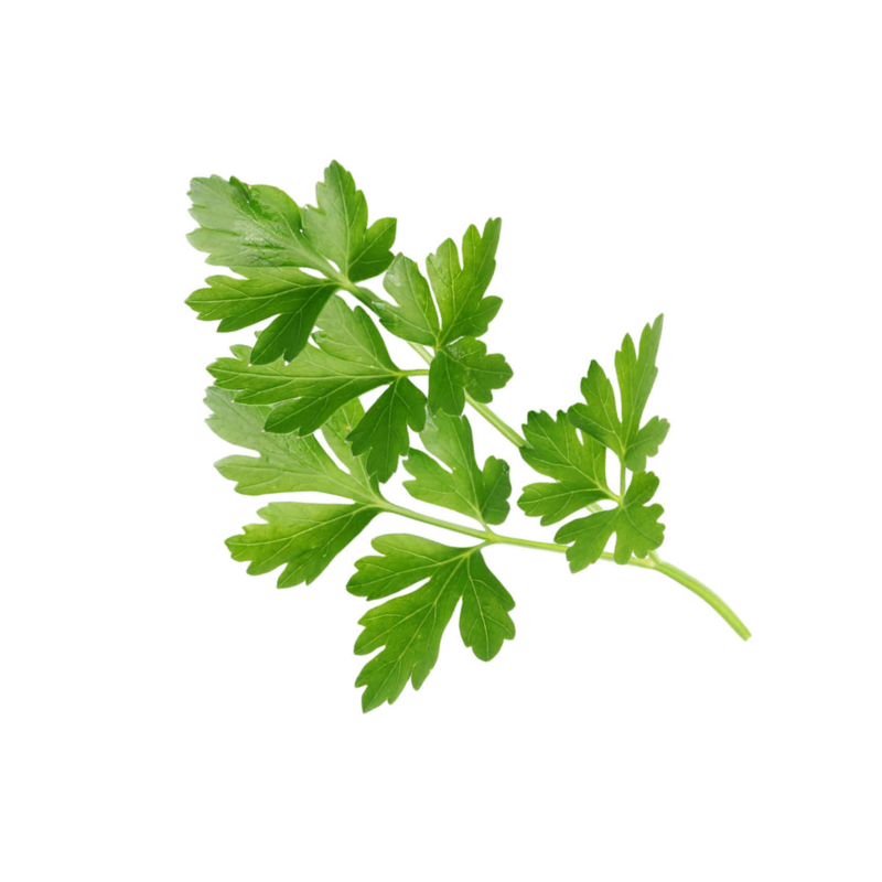 Parsley Leaf